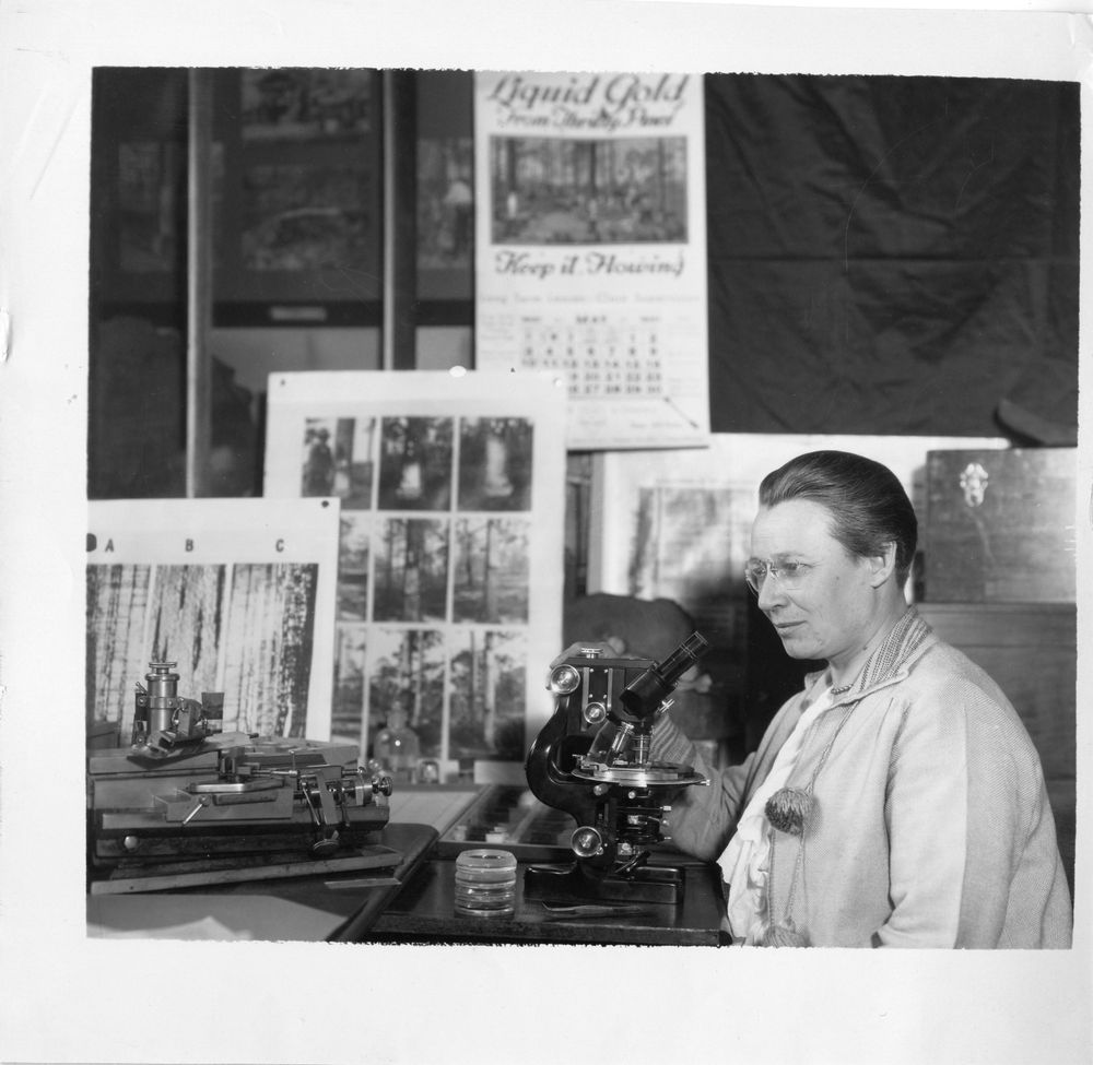 Scientist Eloise Gerry pictured at her microscope