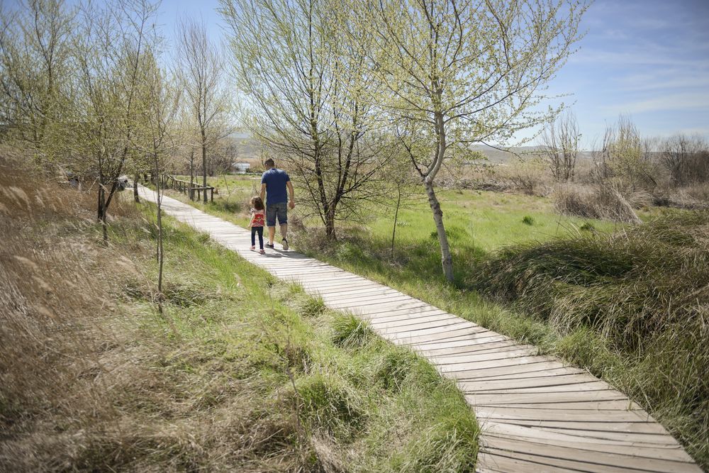 Man and little girl walking on a wooden walkway in a park on a sunny day