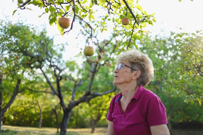 Day of an mature person who enjoys a beautiful day in her orchard.