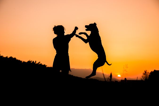 Female playing with dog at hilly area in evening