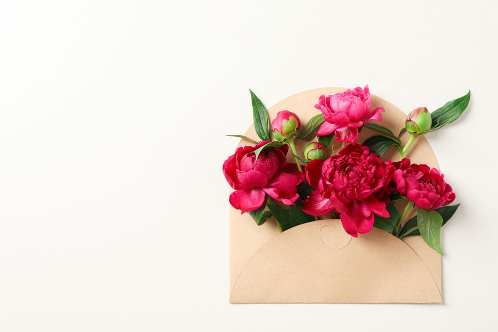 Beautiful peony flowers in envelope on bright background, space for text