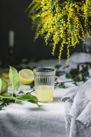 Squeezer and lemon at glass of juice