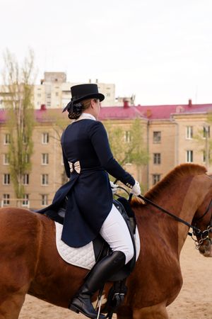 Side profile of dressage rider on chestnut horse