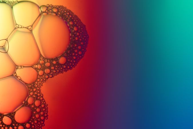 Abstract background bio technology, macro photography foam and water with gradient background. Molecule multicolor backgorund