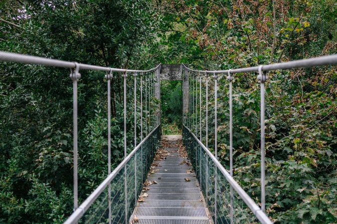 Hanging metal bridge through bushy forest