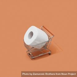 Shopping cart with giant toilet paper roll 4doJD5