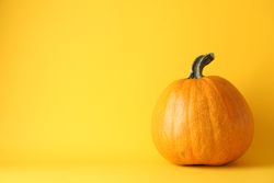 Pumpkin on yellow background, space for text