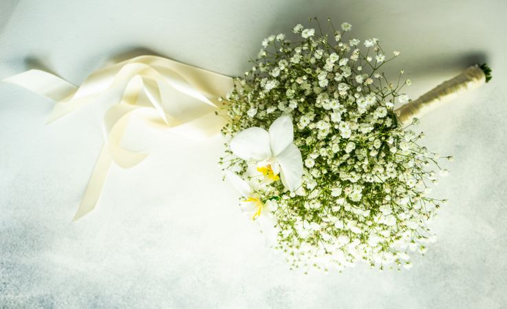 Gypsophila paniculata flowers for bridal bouquet