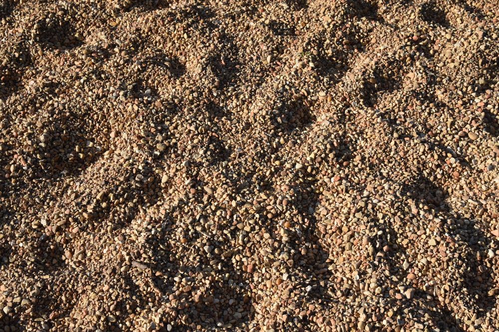 Prints in gravel