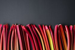 Rhubarb stalks aligned on a dark background