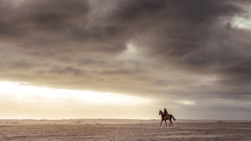 Woman riding with her stallion on the beach in evening
