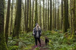 Woman with w brown dog in the woods