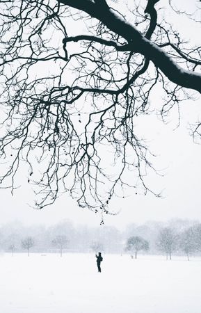 Person standing on snow covered ground near bare tree