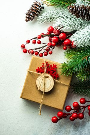 Wintry branches lining side of image with berries and small gift