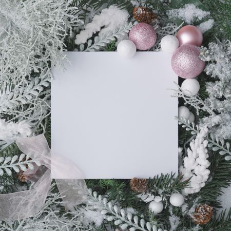 Christmas frame made of winter plants with paper card and pink decorations