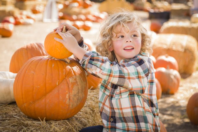Small Boy Sitting and Holding His Pumpkin at Pumpkin Patch.