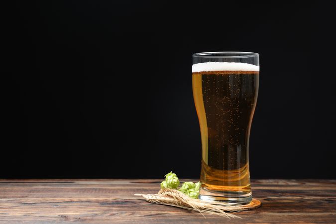 Mug with beer, spikelets and hop on wooden table, space for text