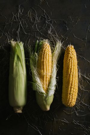 Phases of fresh corn peeling