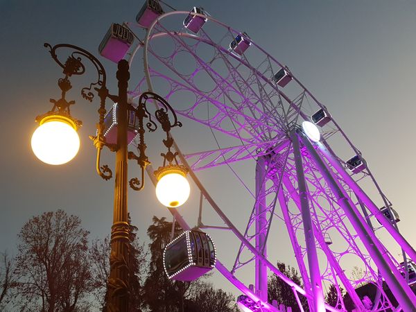 Looking up at purple lit ferris wheel with street light in foreground