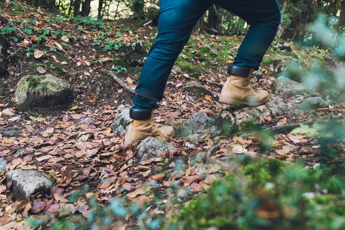 Legs of traveler in casual outfit exploring autumn forest