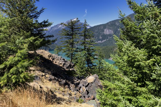 Evergreen trees and mountion lake in the Cascades