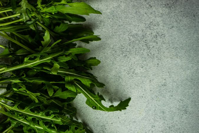 Close up of arugula leaves on grey counter