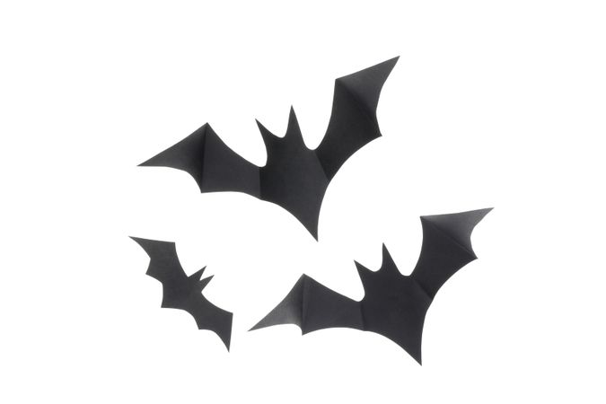 Decorative bats isolated on plain background