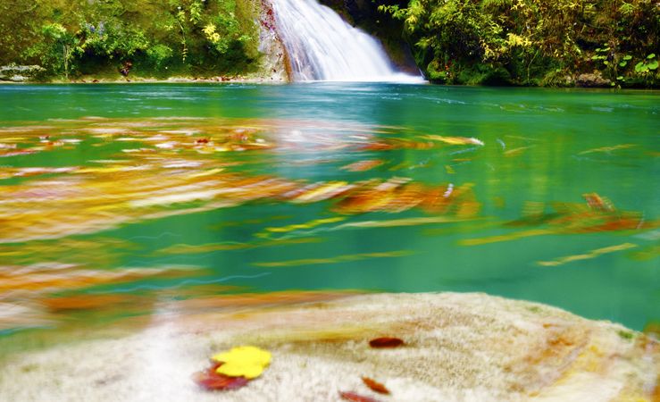 Amazing waterfalls of aquifer with bright vegetation