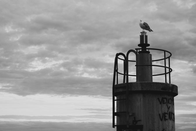 Bird on top of lighthouse