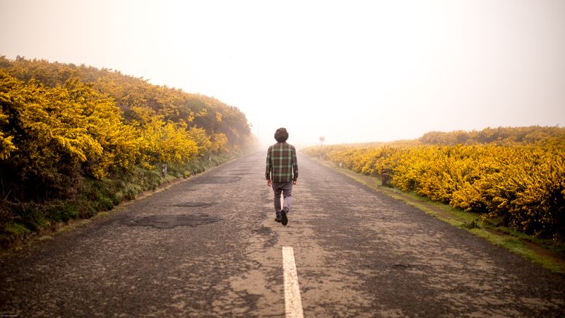 Man walking on empty road between yellow flowers