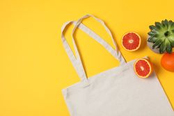 Eco bag, succulent plant and orange on color background, copy space