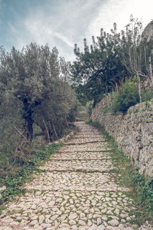 Narrow stone pathway in green woods in Mallorca