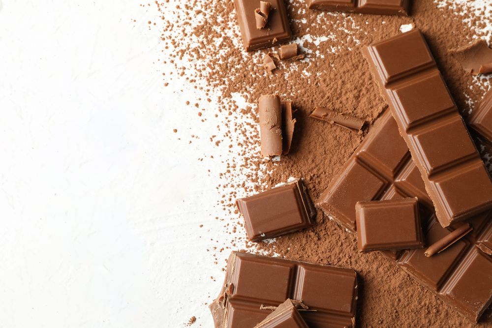 Tasty chocolate and powder on blank background. Sweet food