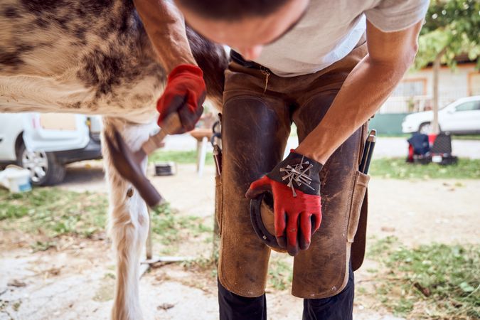 Farrier changing horseshoe in the stable