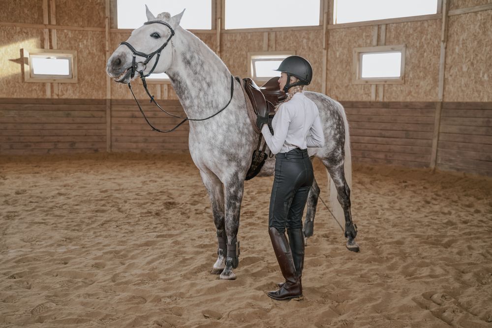 Rider with dapple gray horse in round arena