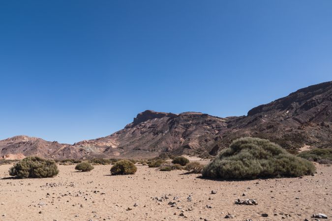 Mountain peak in wild desert area