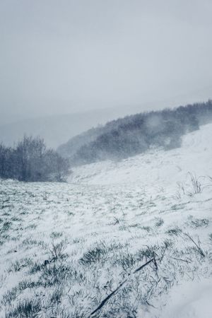 Foggy winter landscape of snow meadows and hills