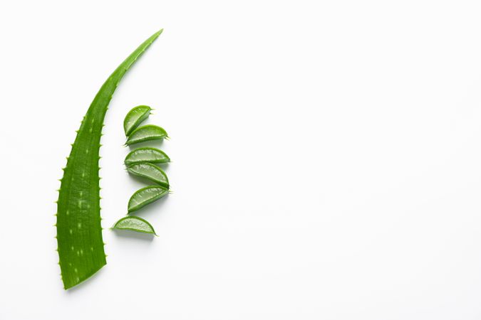 Aloe vera leaf and slices on plain background, space for text. Natural treatment