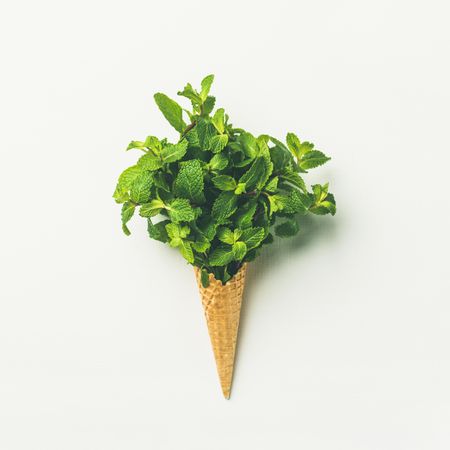 Waffle cone bursting with fresh mint leaves on a light background