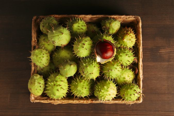 Fresh and ripe chestnuts, top view, Autumn chestnuts