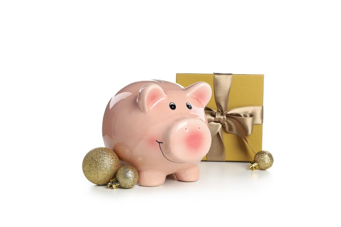 Concept of Christmas finance with piggy bank, isolated on light background