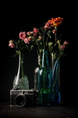 Retro camera near beautiful flowers