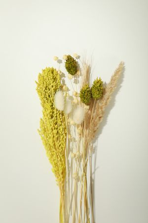 Vertical composition of variety of dried flowers