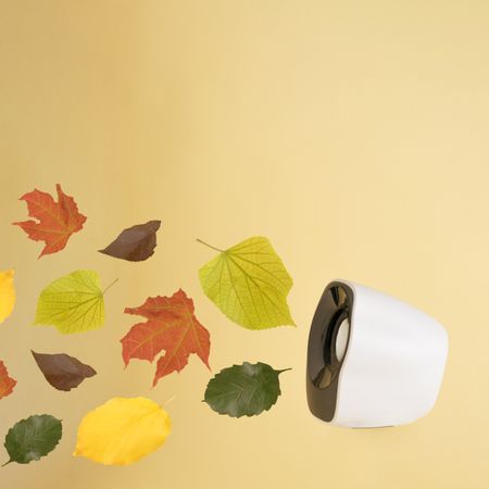 Music speaker with colorful leaves on beige background