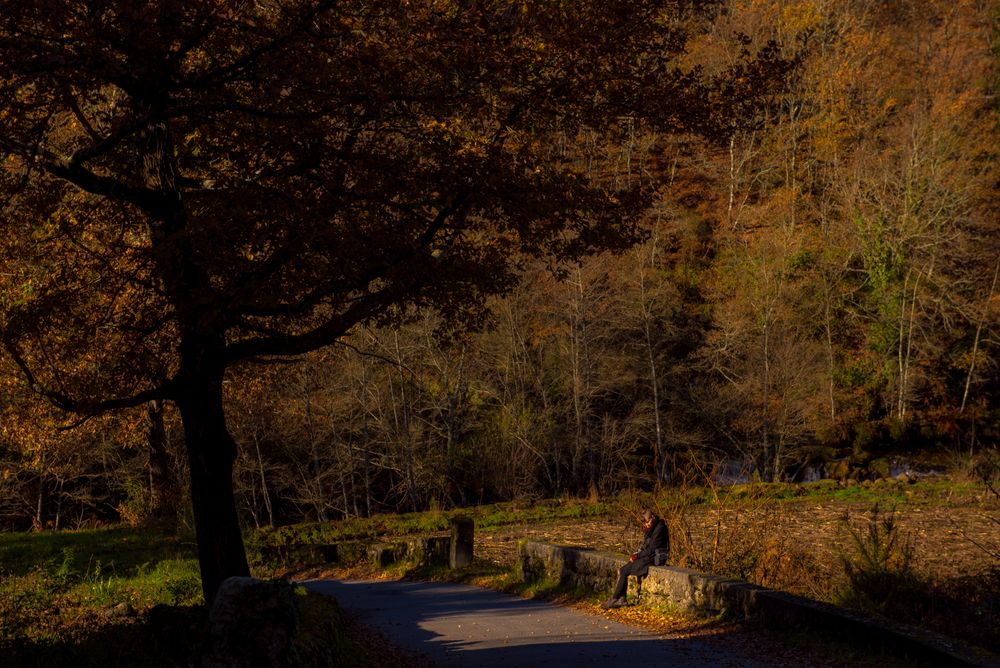 Person sitting on border near autumn forest