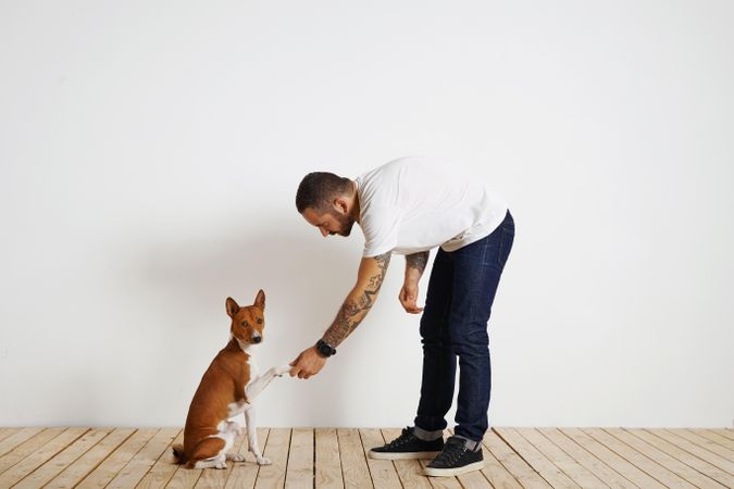 Casual, tattooed man shakes hands with dog as dog looks at camera