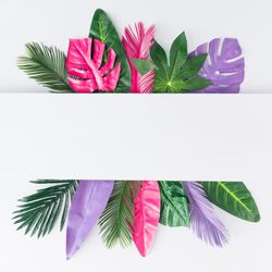 Multicolored tropical leaves on light  background with light  center cut out