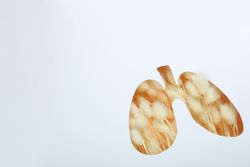 Lung shape cut out of paper with dried rabbit tail underneath with copy space