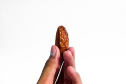 Hand hold date fruit on isolated plain background