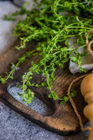 Cooking concept with herb marjoram